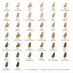 رنگ کرم پودر مایع استی لادر Double Wear